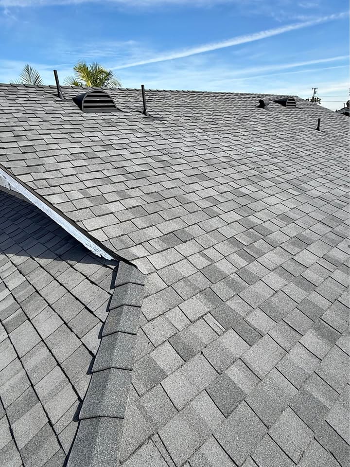 Cleaned shingle roof in Cape Coral